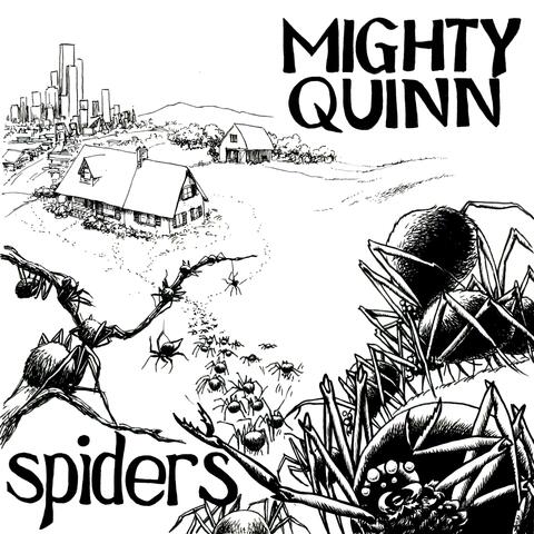 Spiders