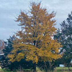 It's Just a Moment of Pain