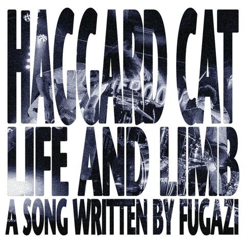 Haggard Cat