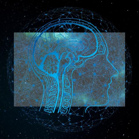 Neural Pathways