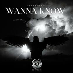 Wanna Know