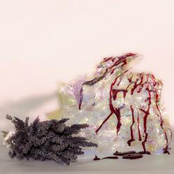 Introduction and Conclusion|Ophanim