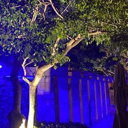 All you got (feat. Og777x)