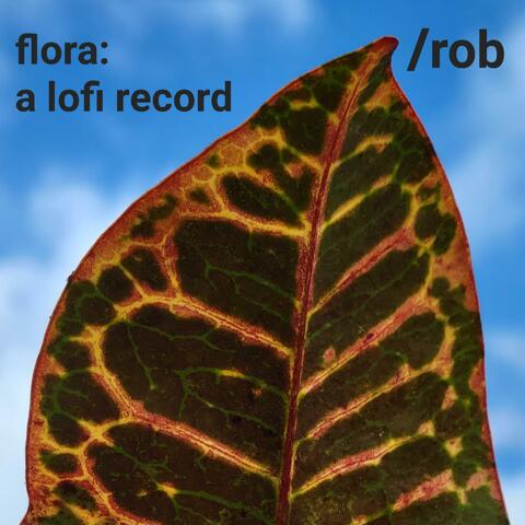 Flora: a lofi record