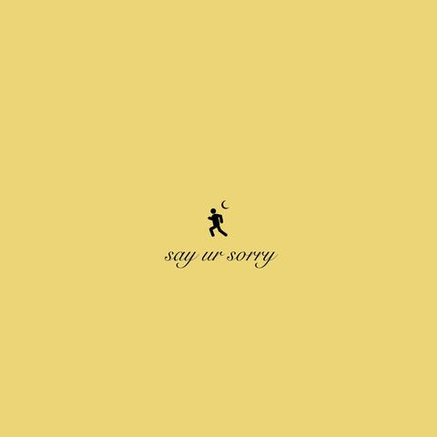 SAY UR SORRY
