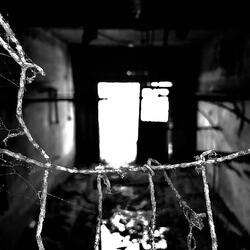 Blue Static (feat. Hike Jamison & Billie Wood)