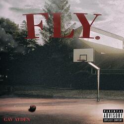 Fly