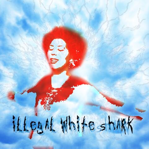 Illegal White Shark