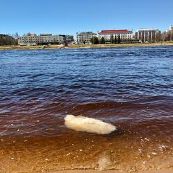 When I Could Still See Your Faces