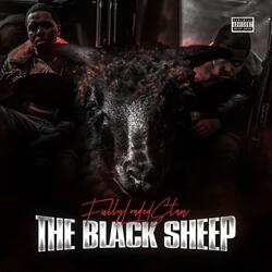 Black Sheep