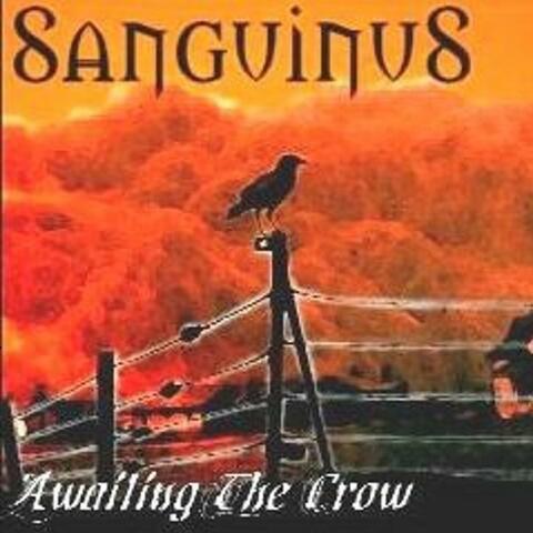 Awaiting The Crow