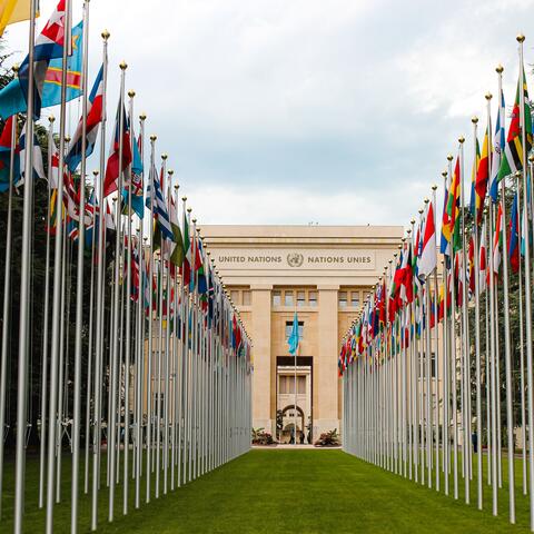 UN World Commie Plot