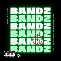 Bandz (feat. Sunshine Walker & Count Nina)