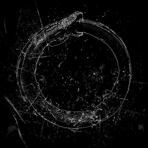 Swan Song (Unplugged)