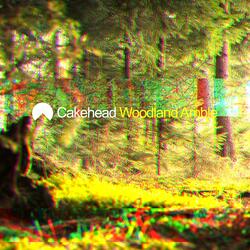 Woodland Amble