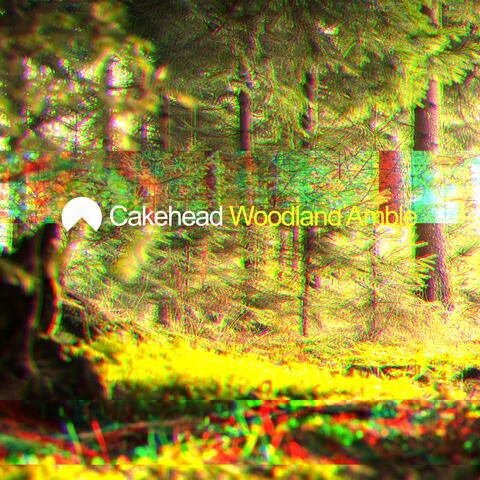 Woodland Amble