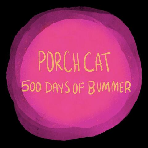 500 Days of Bummer