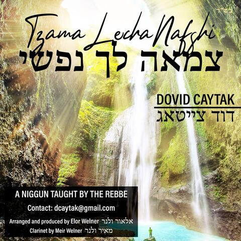 Tzama Lecha Nafshi צמאה לך נפשי
