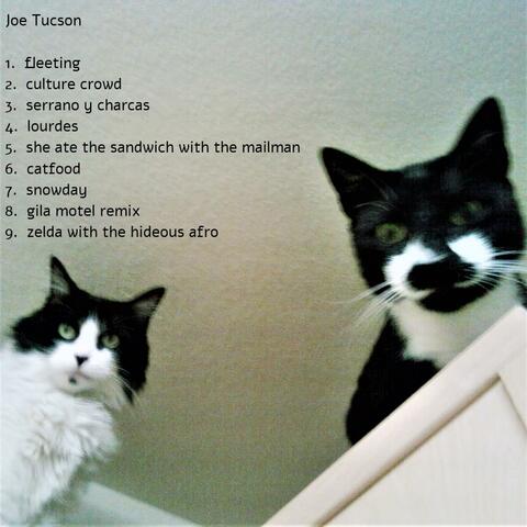 Joe Tucson Cats