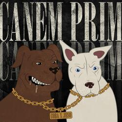 Canem Prim (feat. JESOO)