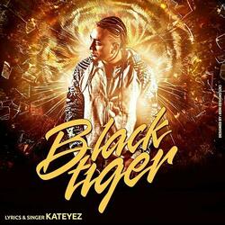 So Revealing (feat. Apache Indian)