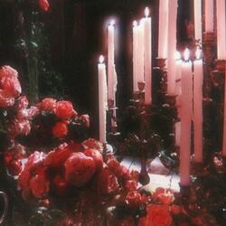 Absolution of Parallel Flames (feat. Alethiae)