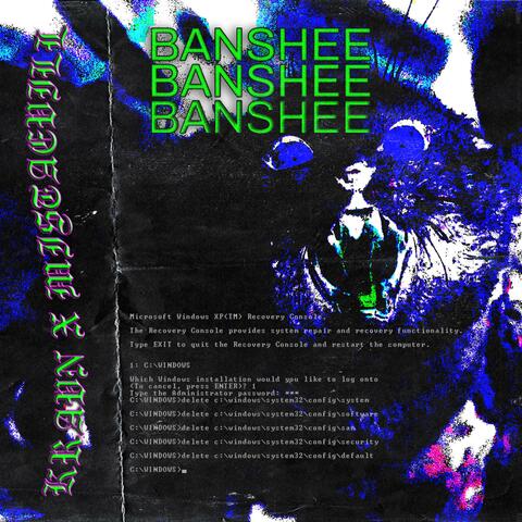 BANSHEE (feat. MistaEvill)