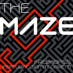The Maze (feat. Sammi Garett)