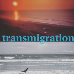 transmigration