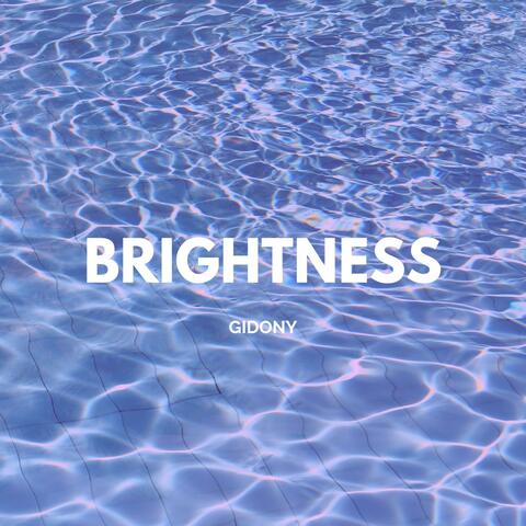 Brightness