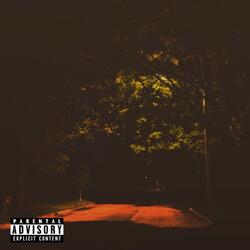 Wild4DaNight (feat. Yung Tay)