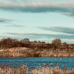 I've Thought Of A Way