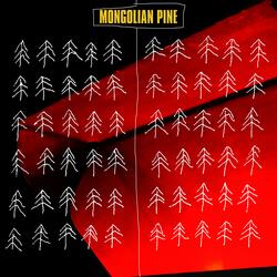 Mongolian Pine