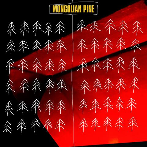 Mongolian Pine