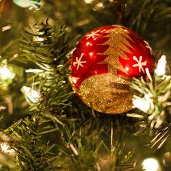 O Christmas Tree