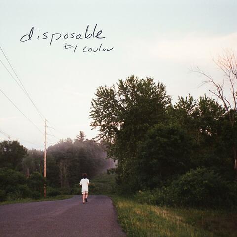 disposable