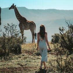 Smooth Jazz Safari
