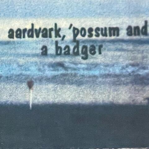 Aardvark, 'Possum And A Badger