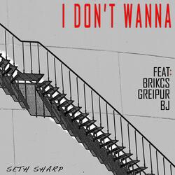 I Don't Wanna (feat. Brikcs, Greipur & BJ)