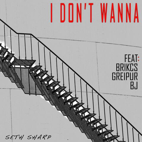 I Don't Wanna (feat. Brikcs, Greipur & BJ)