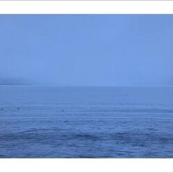 And How Blue The Sky