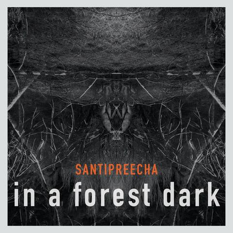In a Forest Dark