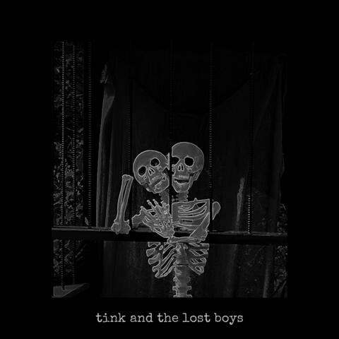 Tink and the Lost Boys