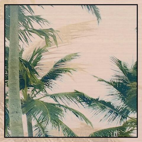 Reverie