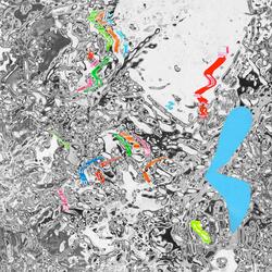 New Here & Feeling at Home