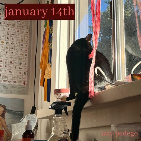 january 14th (voice memo)