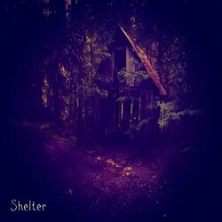 Shelter