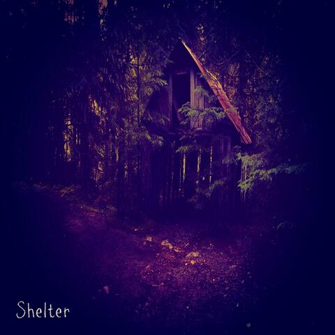 Shelter