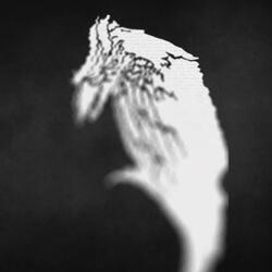 Blackest Crow
