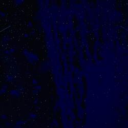 0 0 0